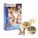 Toy Excavation Kit Mini Unearthed Dino Fossils 2pc C6X1 - product image 1